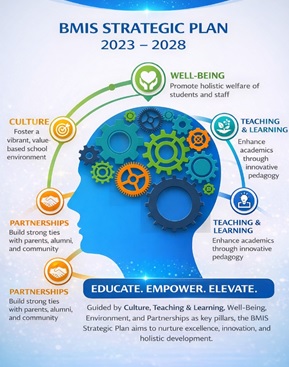 BMIS Strategic Plan
